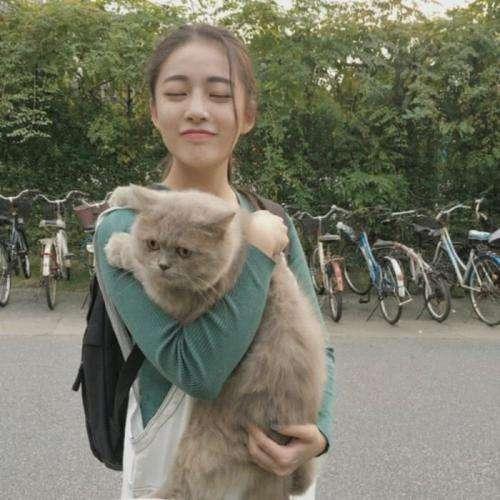 癲狂的圣域
