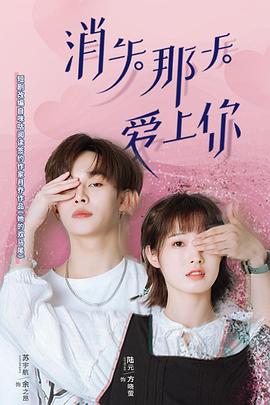 消失那天愛(ài)上你